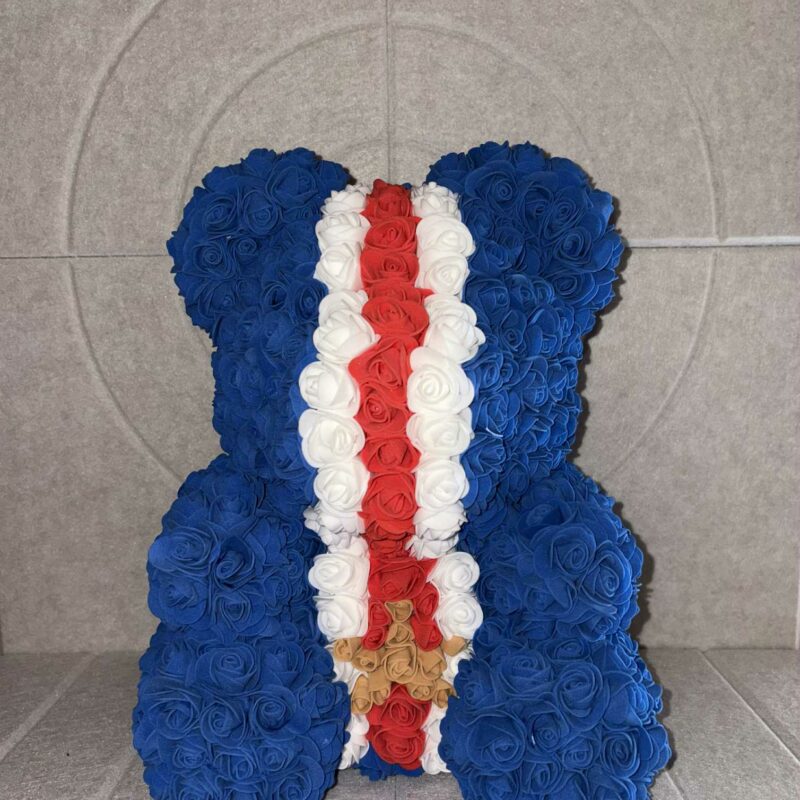 Nounours couleur psg